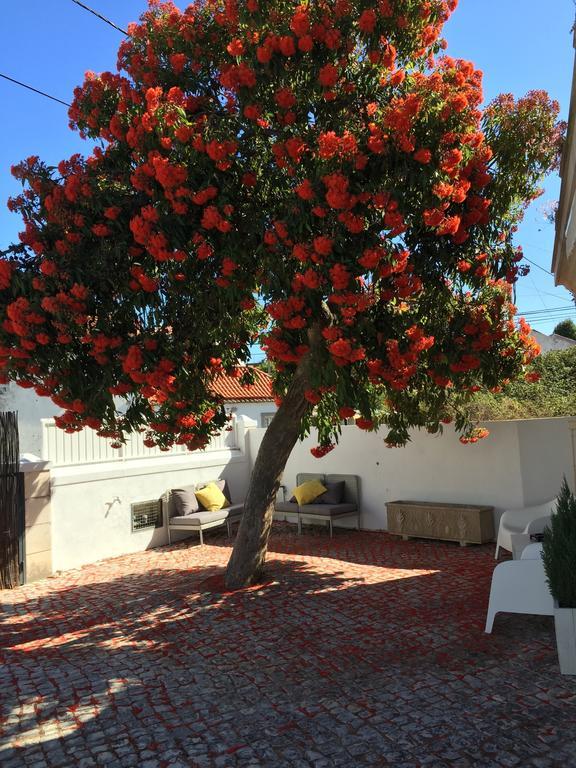 Cosy Sintra Ξενοδοχείο Εξωτερικό φωτογραφία