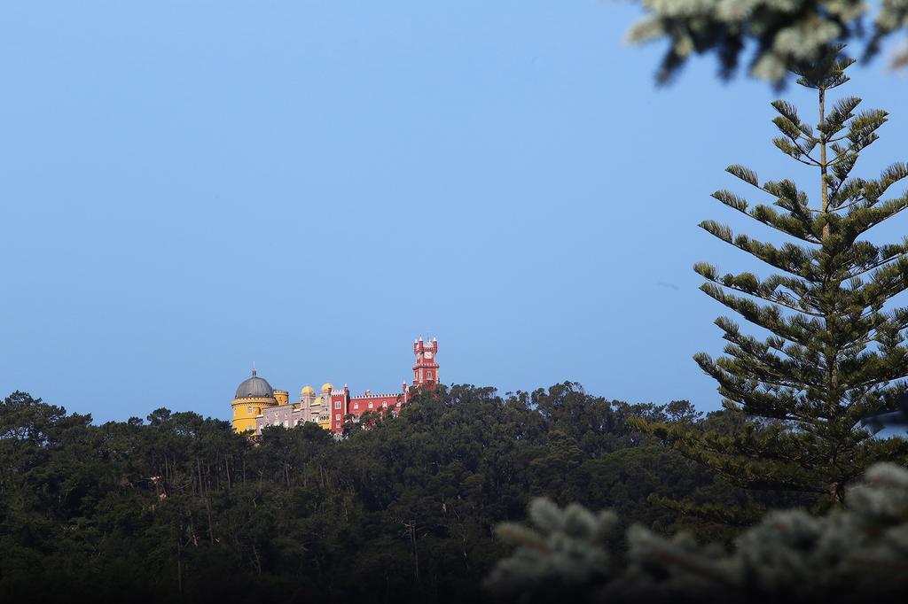 Cosy Sintra Ξενοδοχείο Εξωτερικό φωτογραφία